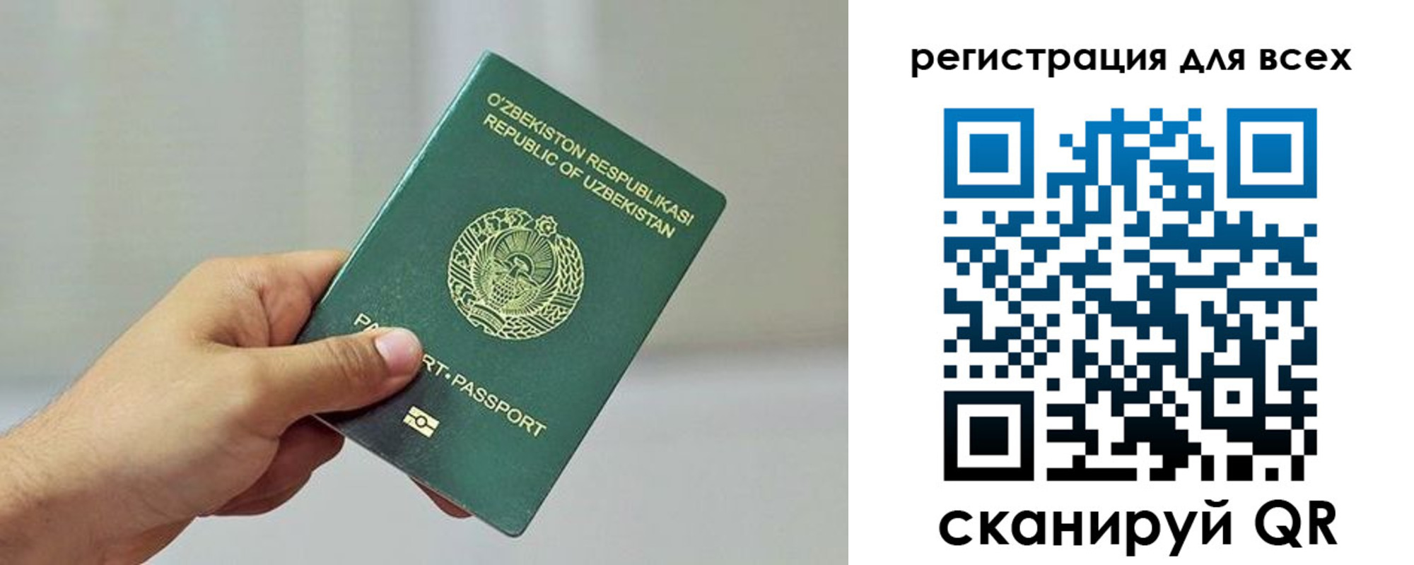 временная регистрация поиск в Новгородской области