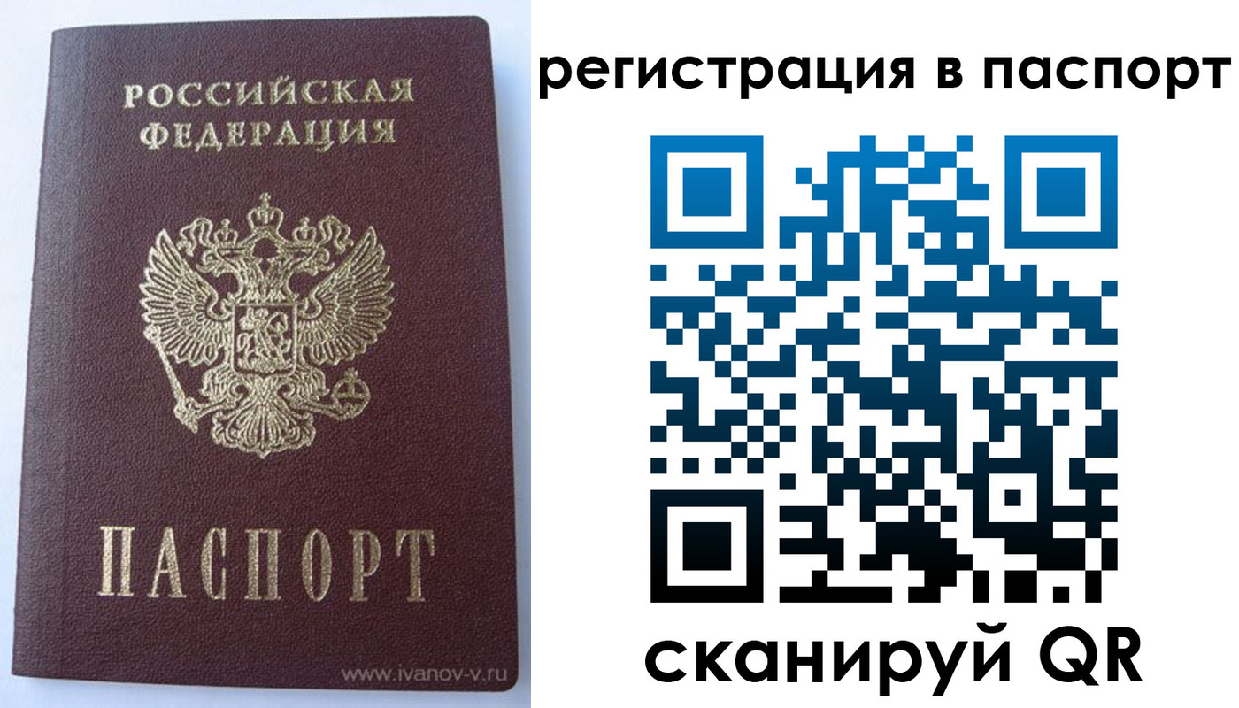 прописка поиск в Новгородской области